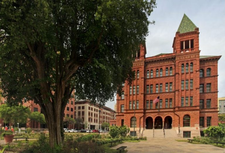 1489676410Anacua_Anacua-ehretia-form_courthouse_epohl_650x443.jpg