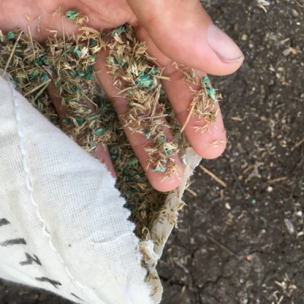 1538655318Habiturf-detail-seed-bag-prepped-site.jpg