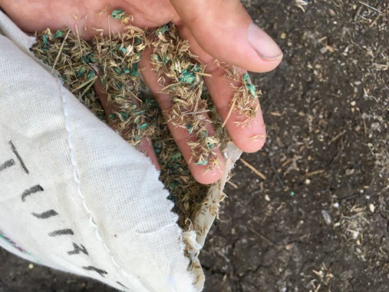1538655318Habiturf-detail-seed-bag-prepped-site.jpg
