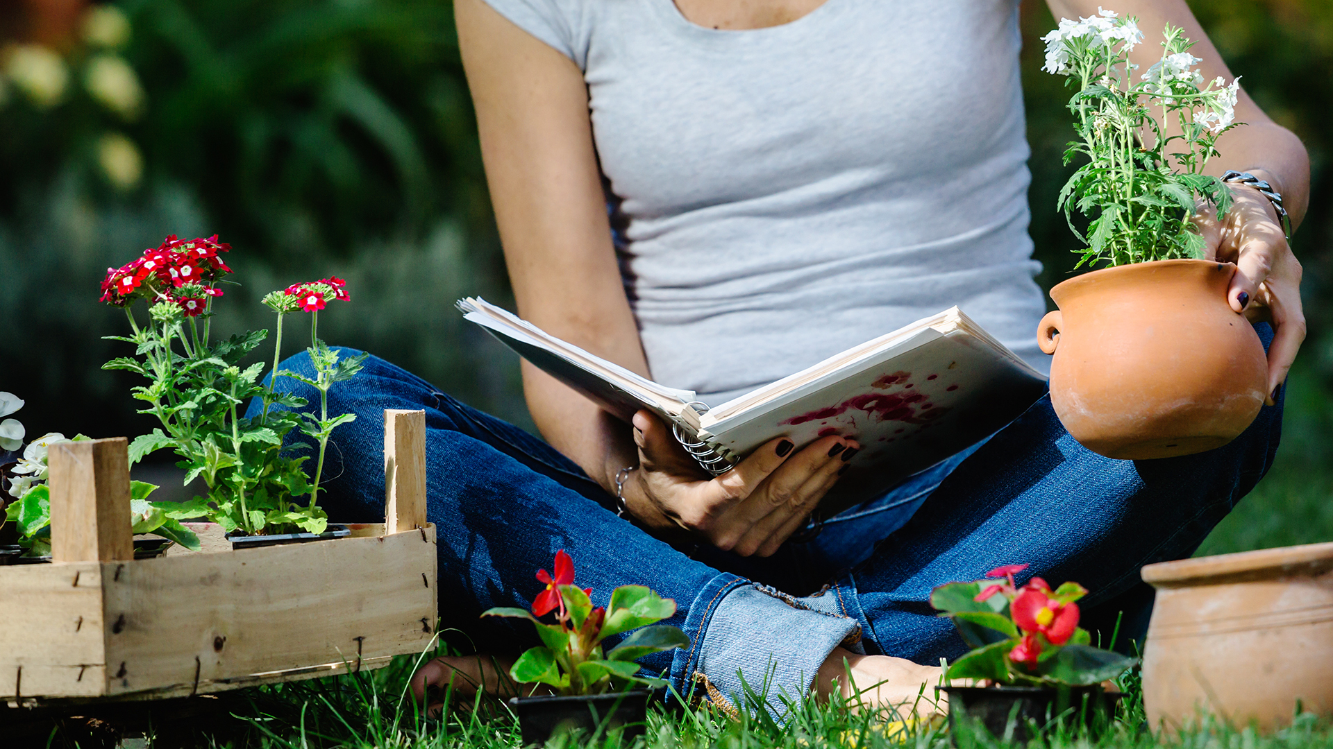 garden planner discount code garden planner discount code