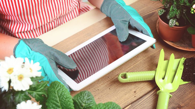 Woman's hands potting some plants ( with tablet pc)