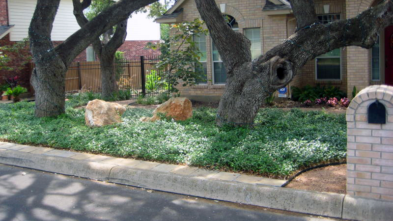 For Less Work Choose Ground Covers, Ground Cover Landscaping