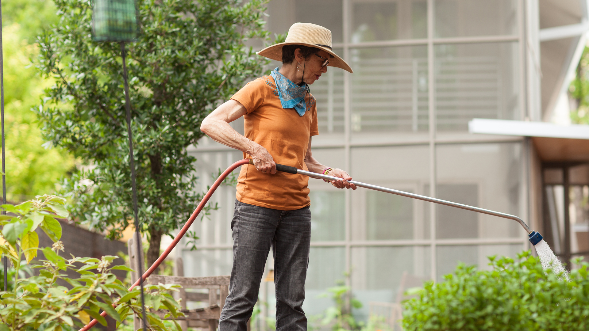 hand watering