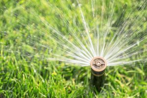 sprinkler head