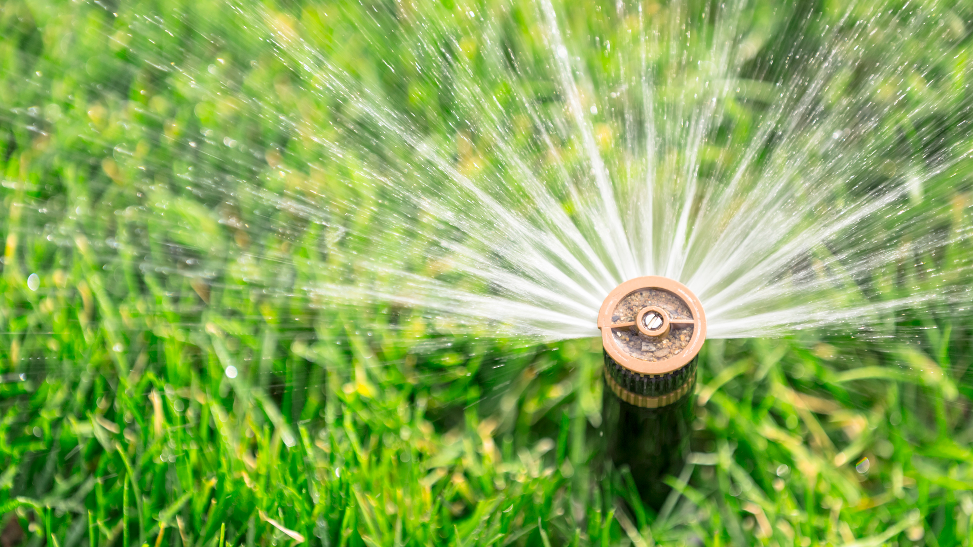 sprinkler head closeup