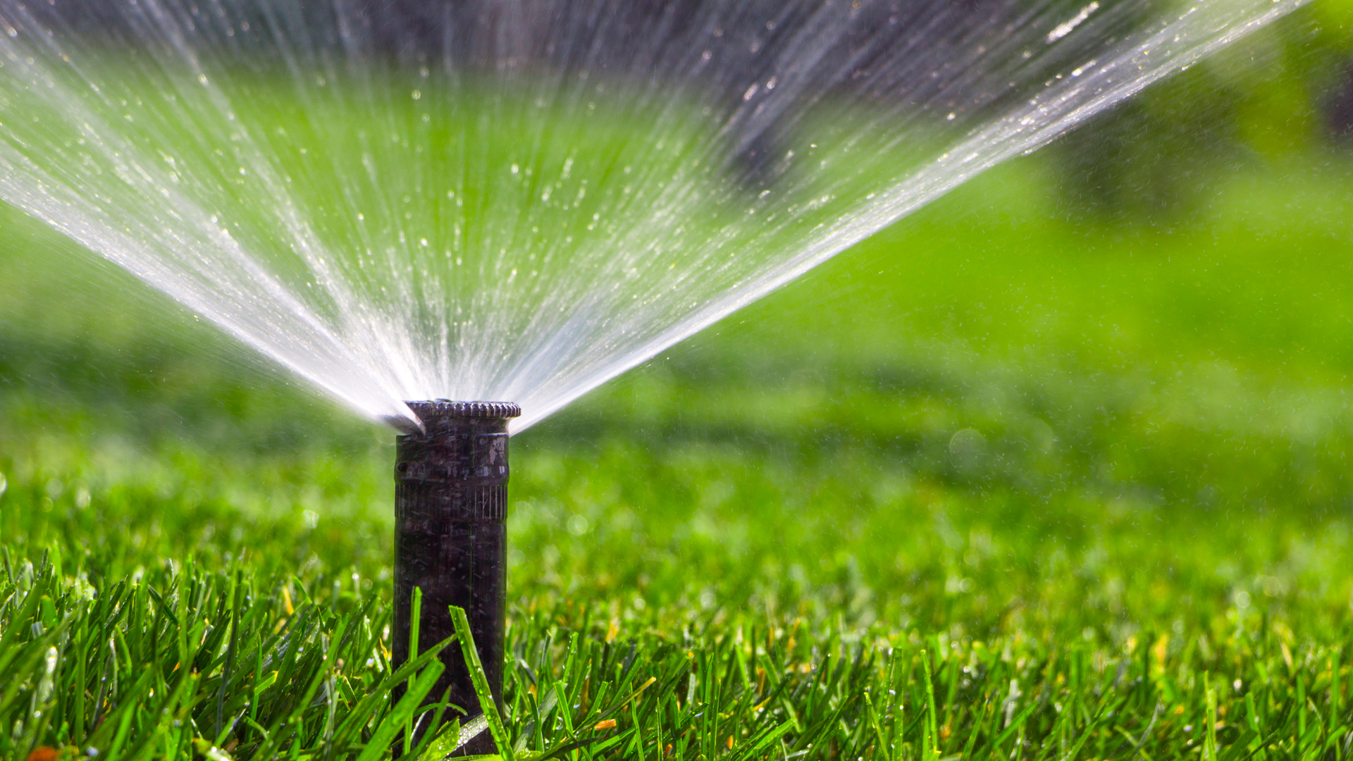 simple-easy-irrigation-lessons-garden-style-san-antonio