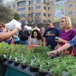 people looking at plants