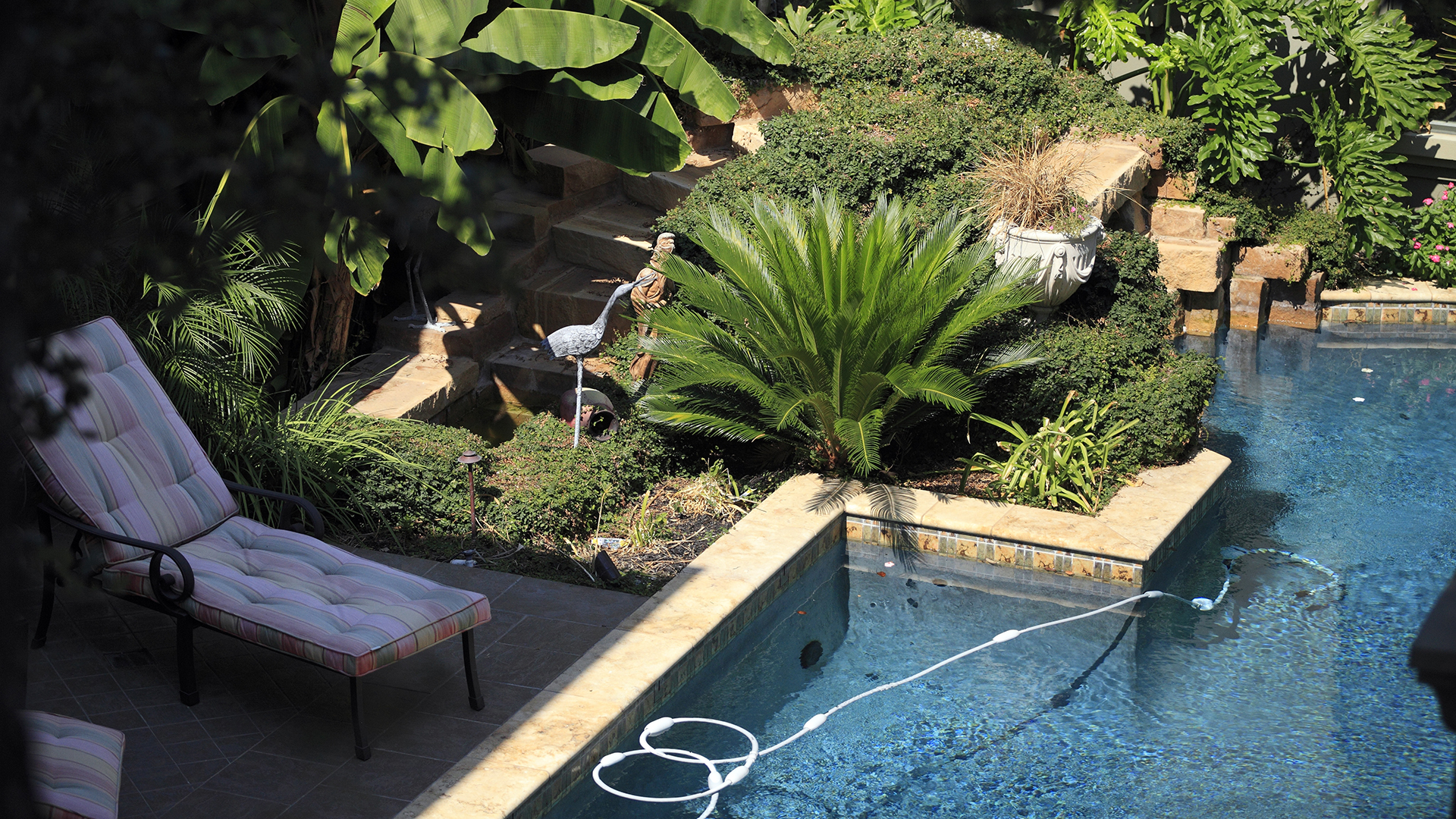 Plants for the Pool Perimeter - Garden Style San Antonio