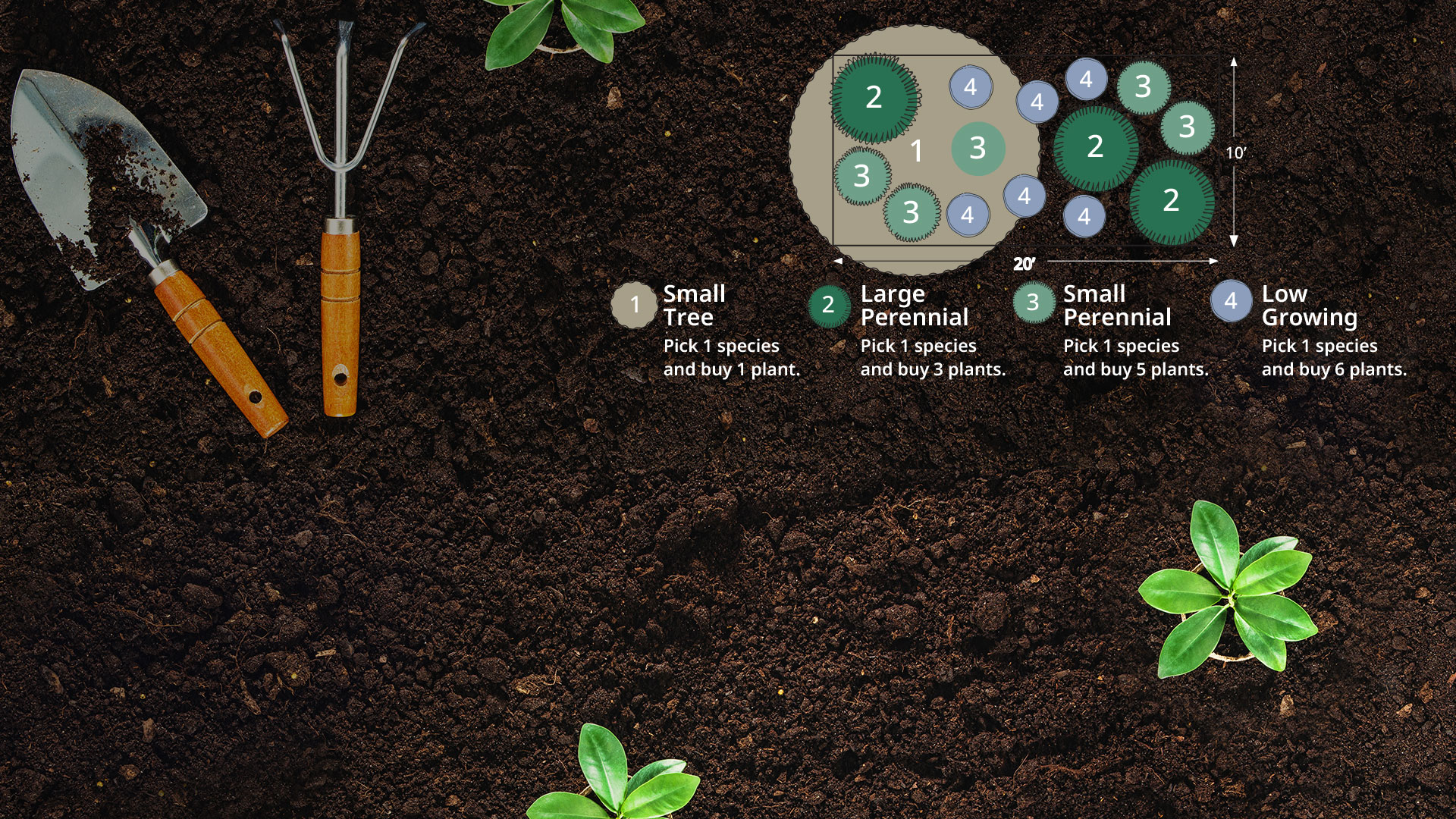 Plant by Numbers - Garden Style San Antonio