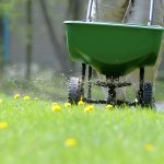 fertilizing lawn