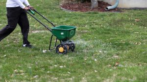 pre-emergent herbicides