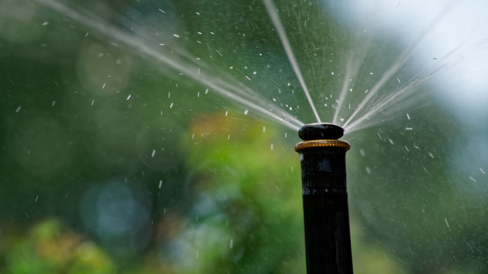 Learn how we can make watering rules more fair and effective Garden