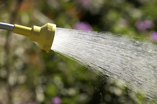 Water nozzle on garden hose in action