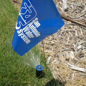 Blue flag marking an irrigation head