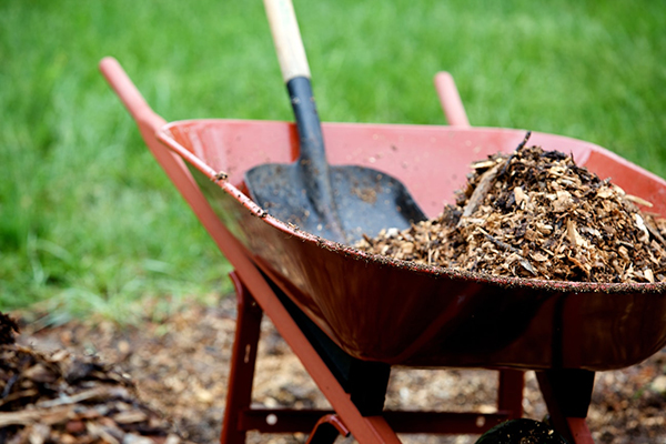 Wheel barrow and shovel with mulch