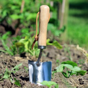 A sturdy hand trowel is an essential garden tool for digging.
