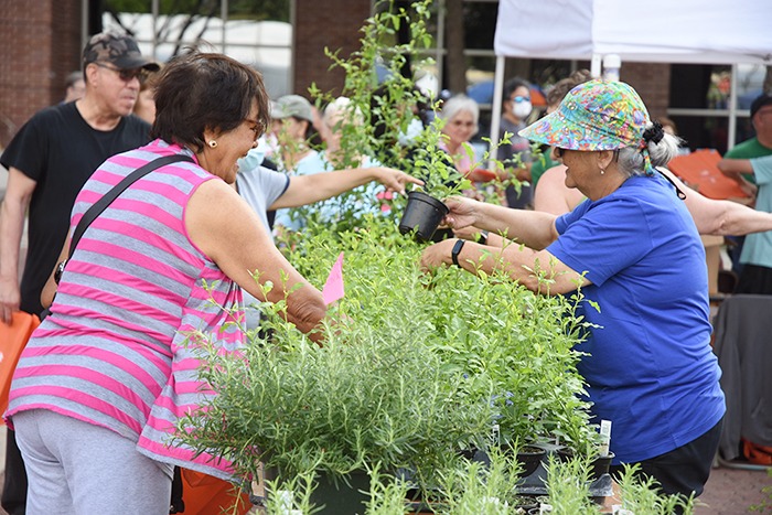 woman handing out plants