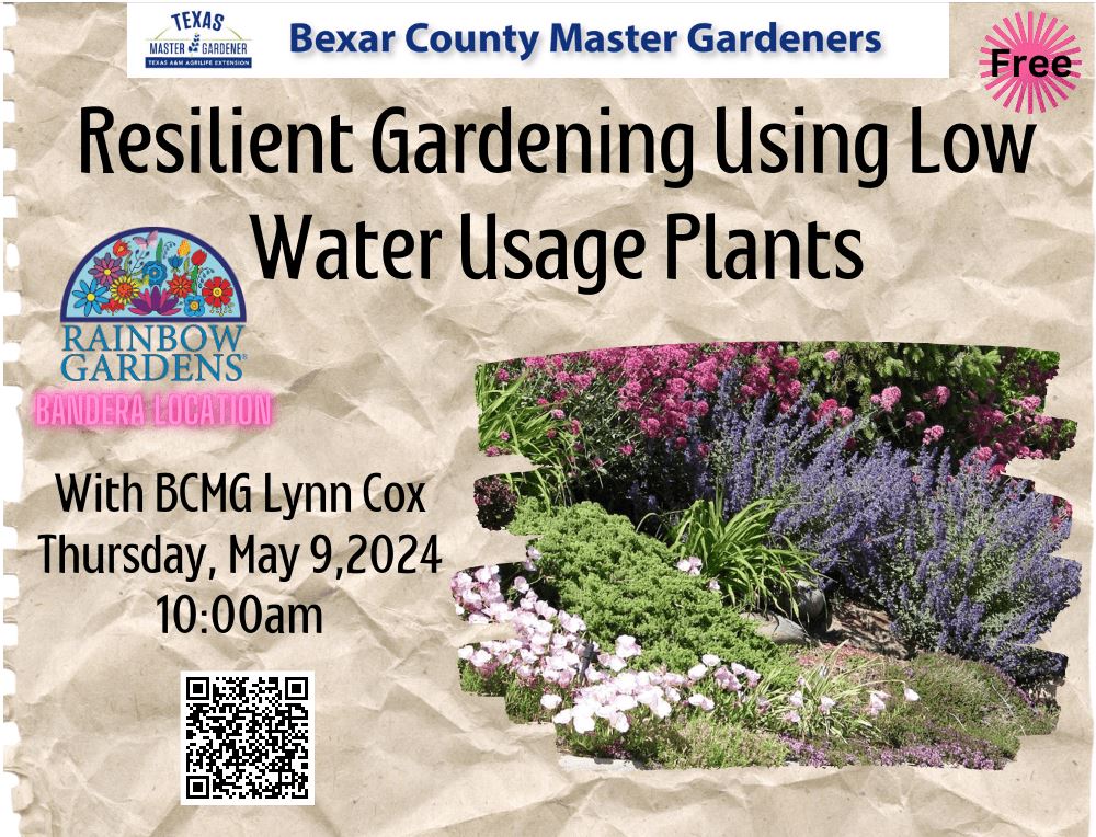 banner for Resilient Gardening Using Low Water Usage Plants