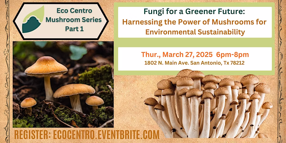 Banner for Fungi for a Greener Future!