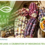 Banner for Echoes of the Land