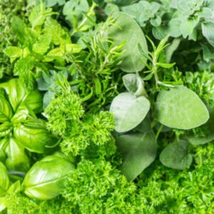 Fresh herbs including Basil, Parsley, Marjoram, Rosemary, and Sage.