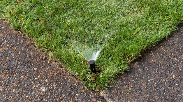 Sprinkler spray after laying rolls of sod