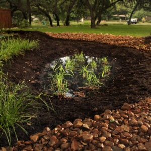 Rain garden collecting water in home landscape
