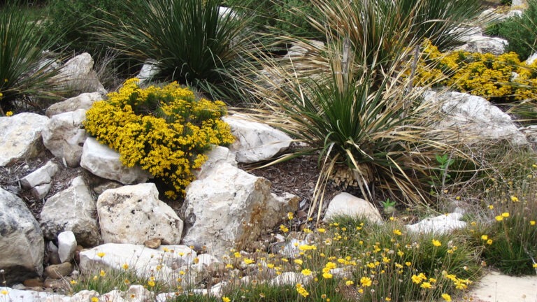 thin soil