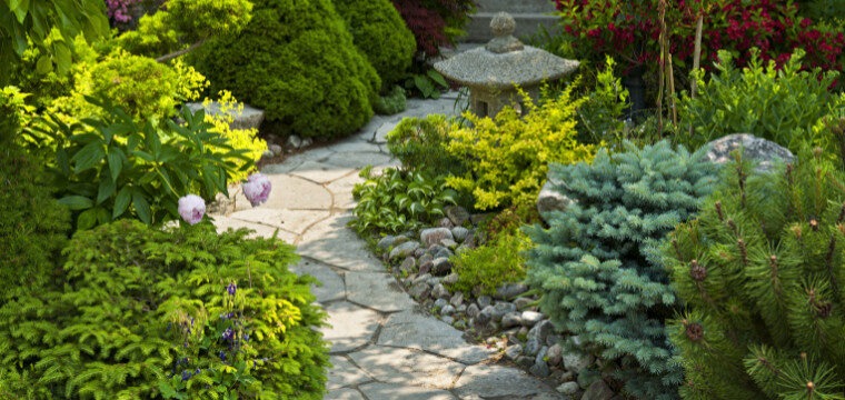 Picture of a garden pathway lined with stones.