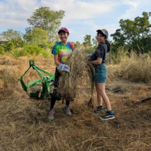 Volunteers gathering cut vegetation at a Habitat cleanup day at Mitchell Lake Audubon Center