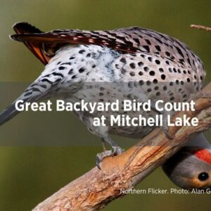 February calendar entry for Great Backyard Bird Count at Mitchell Lake Audubon Center on the 14th.