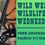 Calendar graphic for Briscoe Western Art Museum event on the 11th.