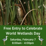 February 2026 calendar entry highlighting World Wetlands Day at Mitchell Lake on the 7th.