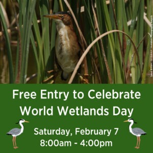 February 2026 calendar entry highlighting World Wetlands Day at Mitchell Lake on the 7th.