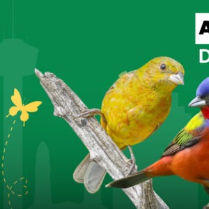 April calendar entry for City Nature Challenge on the 24th-27th.