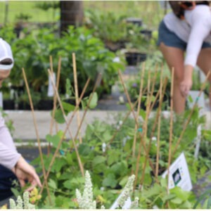 April calendar entry for botanical gardens plant sale on the 18th.