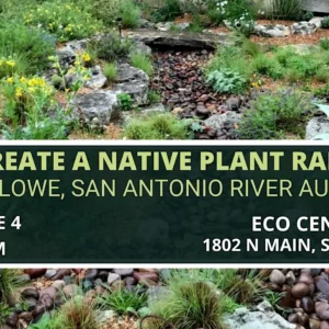 June calendar entry for Eco Centro class on the 4th.