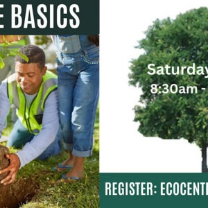 June calendar entry for Eco Centro class on the 6th.