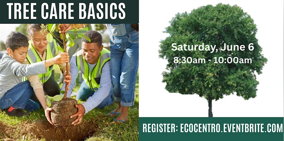 June calendar entry for Eco Centro class on the 6th.