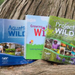 July calendar entry for Eco System workshop on the 1st