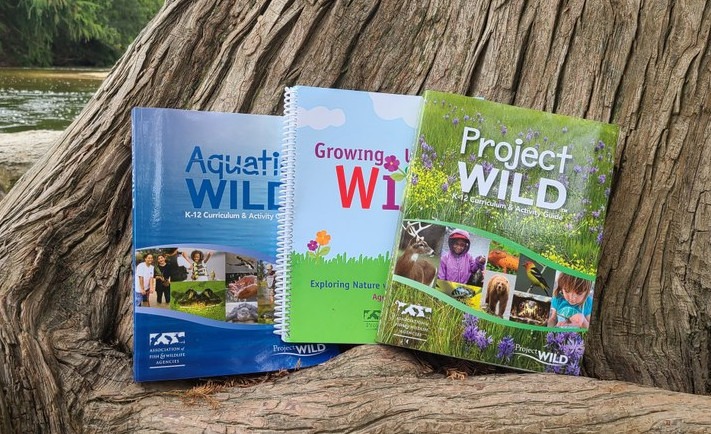July calendar entry for Eco System workshop on the 1st