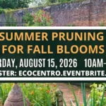 August calendar entry for Eco Centro class on the 15th