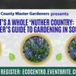 August calendar entry for Eco Centro workshop on the 5th