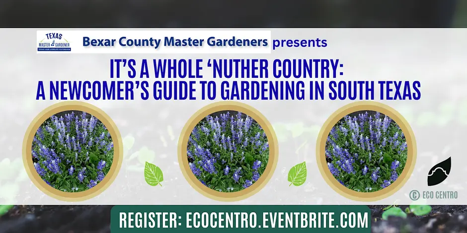 August calendar entry for Eco Centro workshop on the 5th