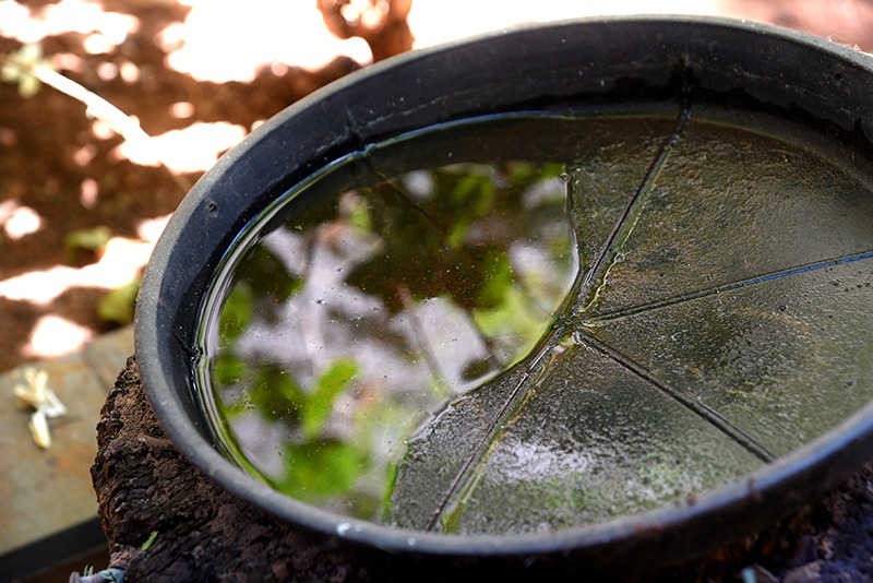 abandoned vessel with standing water