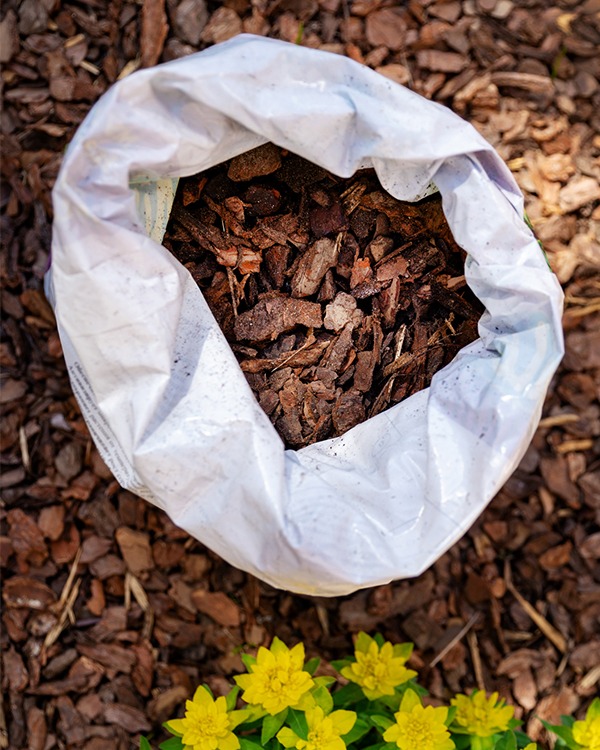 mulch