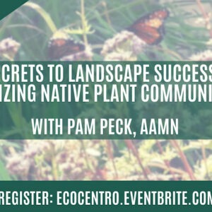 Event Graphic for Eco Centro's Secrets to Landscape Success: Utilizing Native Plant Communities with Pam Peck, AAMN event. Wednesday, September 16th from 6 pm to 7:30 pm. Register at ecocentro.eventbrite.com