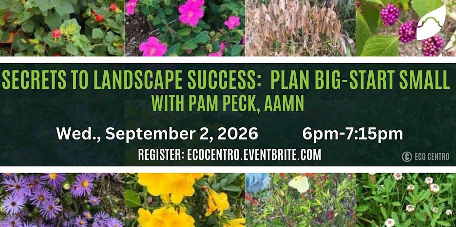 Event Graphic for EcoCentro's Secrets to Landscape Success: Plan Big-Start Small with Pam Peck, AAMN event. Wednesday, September 2, 2026 from 6pm to 7:15 pm. Register at ecocentro.eventbrite.com