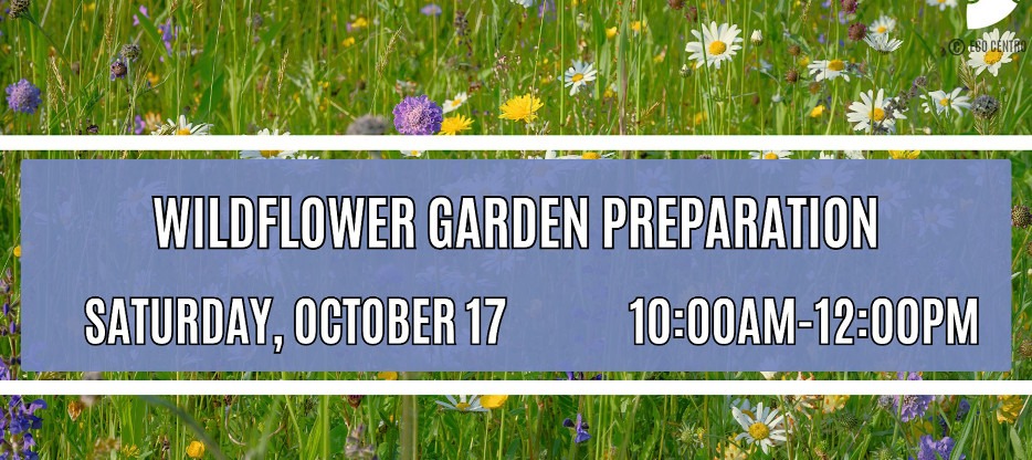 Event Graphic for Wildflower Garden Preparation, October 17th at 10 am