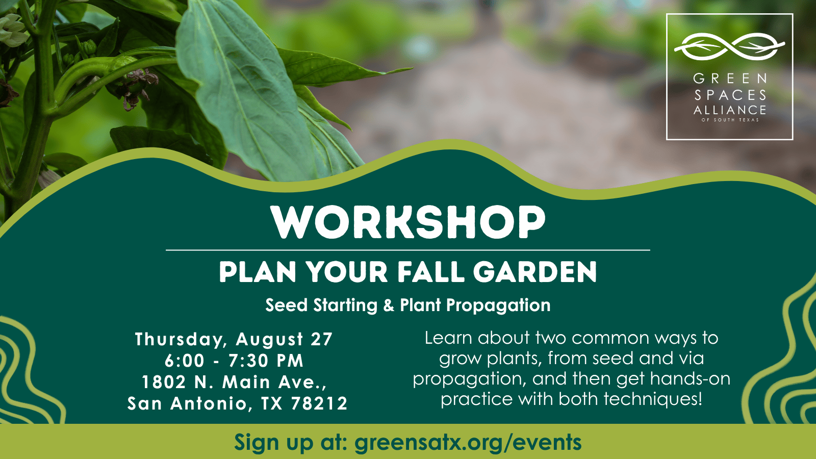 Graphic for the Green Spaces Alliance "Plan your Fall Garden- Seed Starting & Plant Propagation" Workshop. Thursday, August 27 from 6:00-7:30 pm. Learn about two common ways to grow plants, from seed and via propagation, and then get hands-on practice with both techniques!